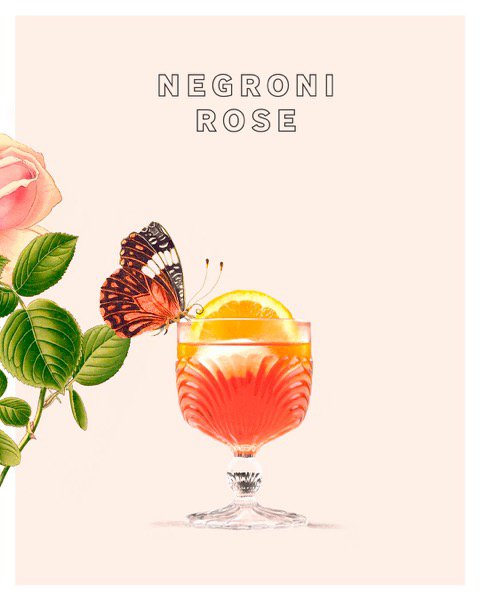 the negroni rose
