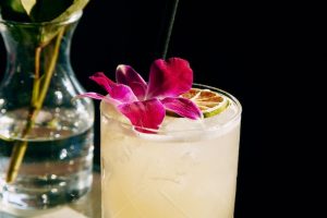 Spirits 101