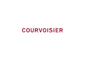 CV LOGO WORDMARK